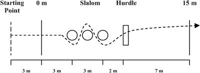 Association Between Mental Imagery and Change of Direction Performance in Young Elite Soccer Players of Different Maturity Status